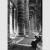 Gianni Berengo Gardin, Il colonnato di San Pietro, 1986